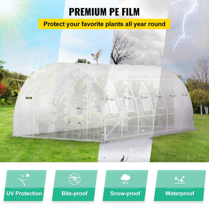 Large Walk-in Tunnel Greenhouse with Reinforced Frame and Waterproof Cover