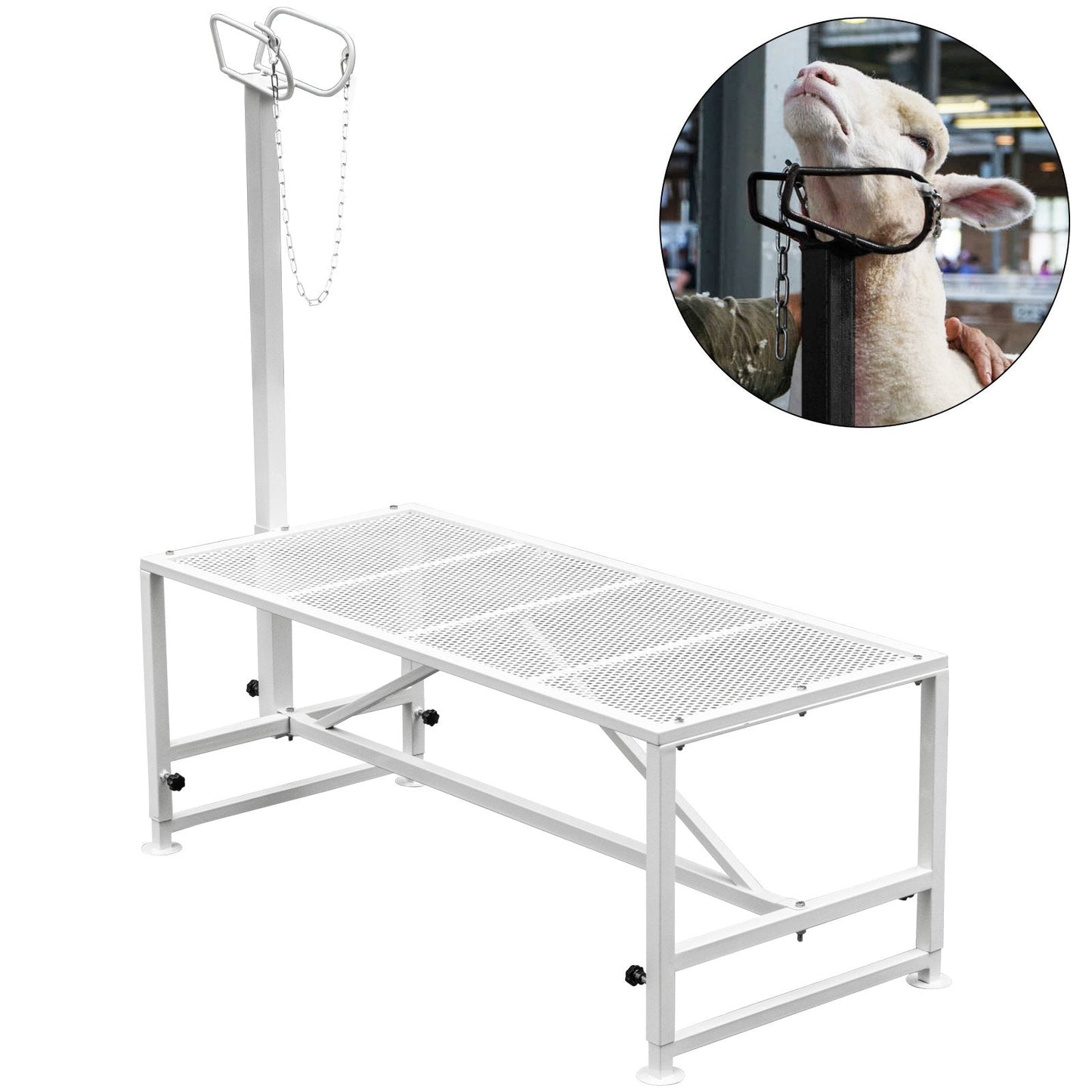 Adjustable Livestock Trimming Stand with Metal Frame, 1.3x0.6m Platform