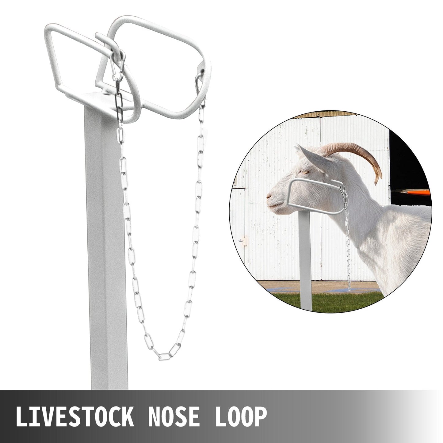 Adjustable Livestock Trimming Stand with Metal Frame, 1.3x0.6m Platform