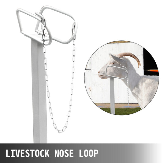 Adjustable Livestock Trimming Stand with Metal Frame, 1.3x0.6m Platform