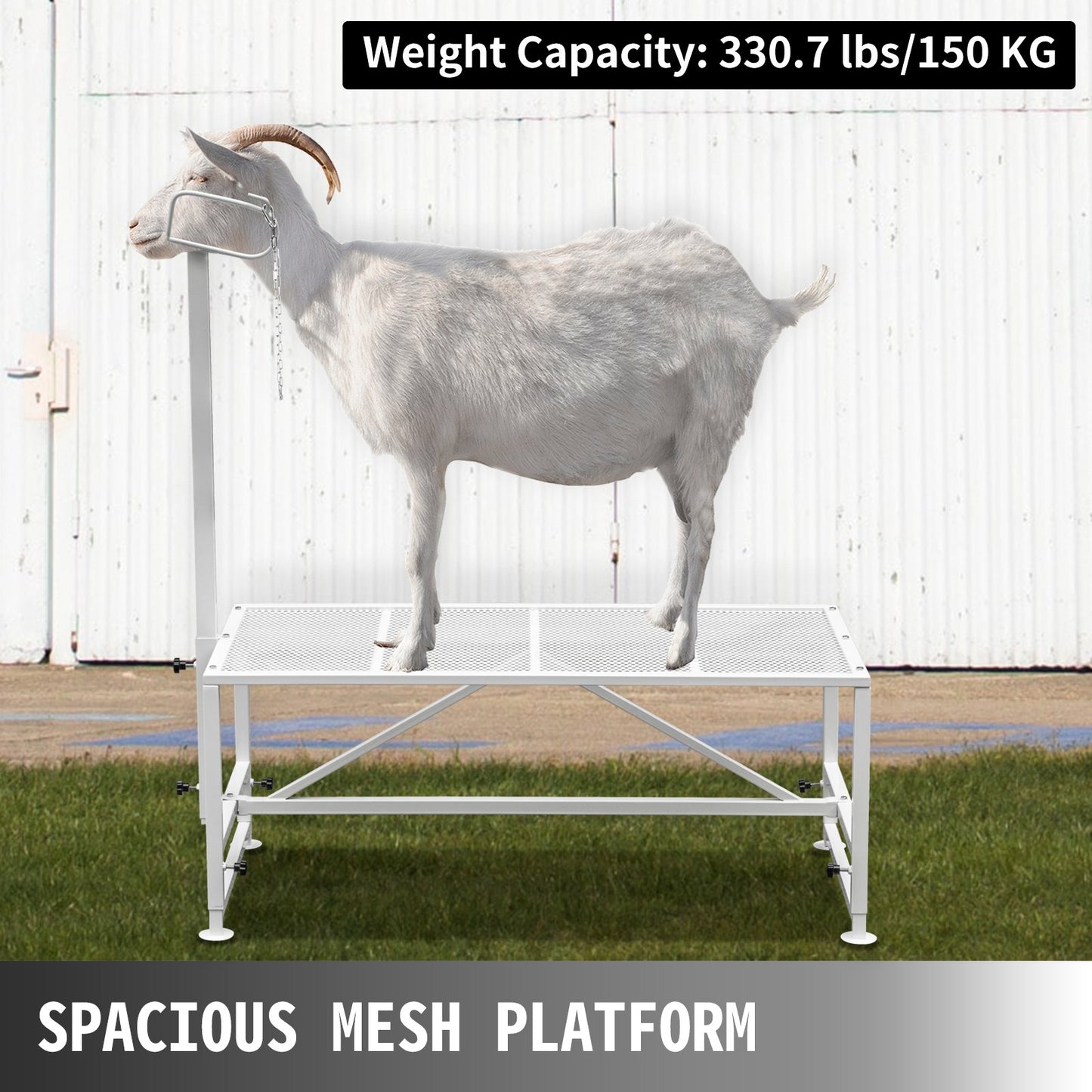 VEVOR Livestock Stand 51x23 inches, Trimming Stand with Straight Head Piece, Goat