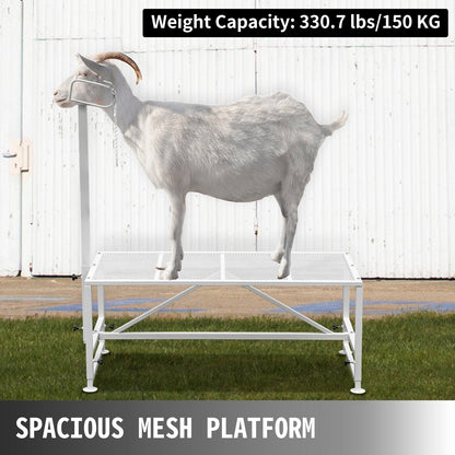 Adjustable Livestock Trimming Stand with Metal Frame, 1.3x0.6m Platform