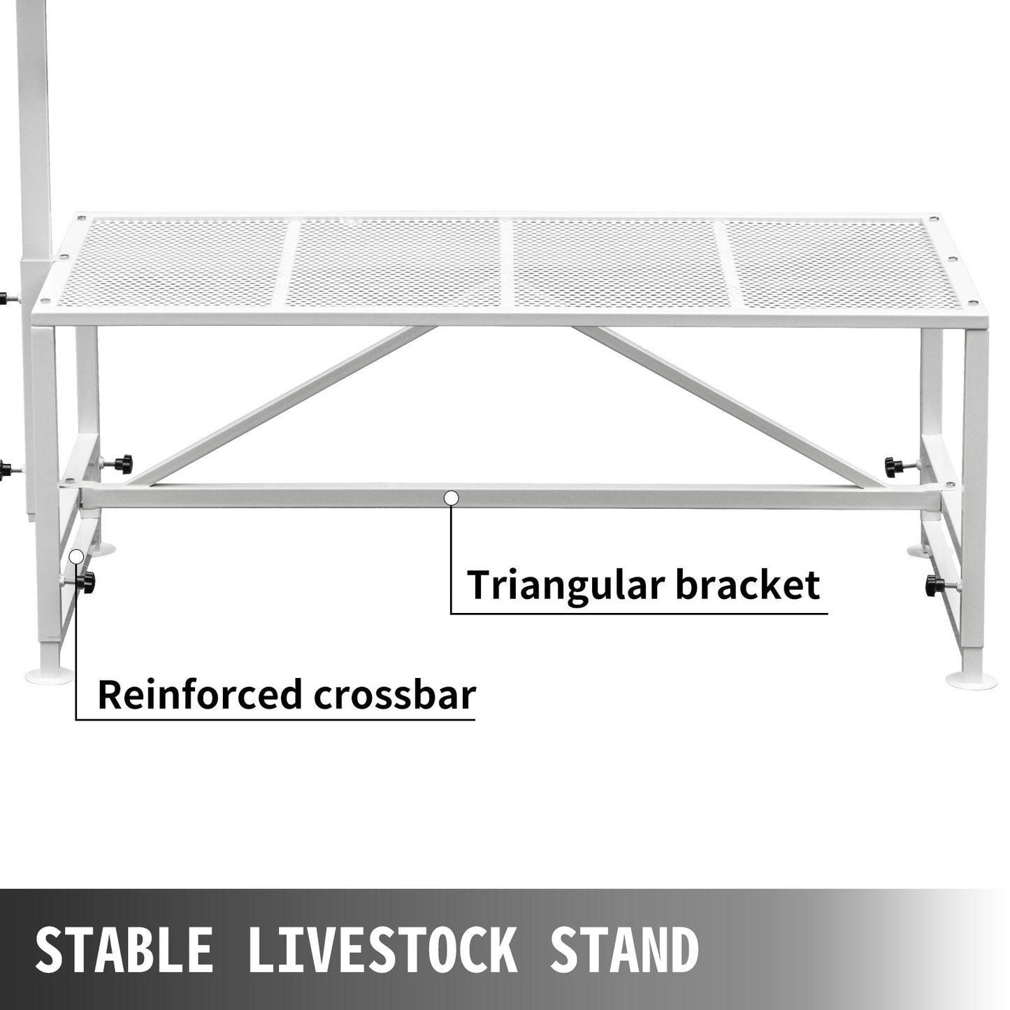 Adjustable Livestock Trimming Stand with Metal Frame, 1.3x0.6m Platform