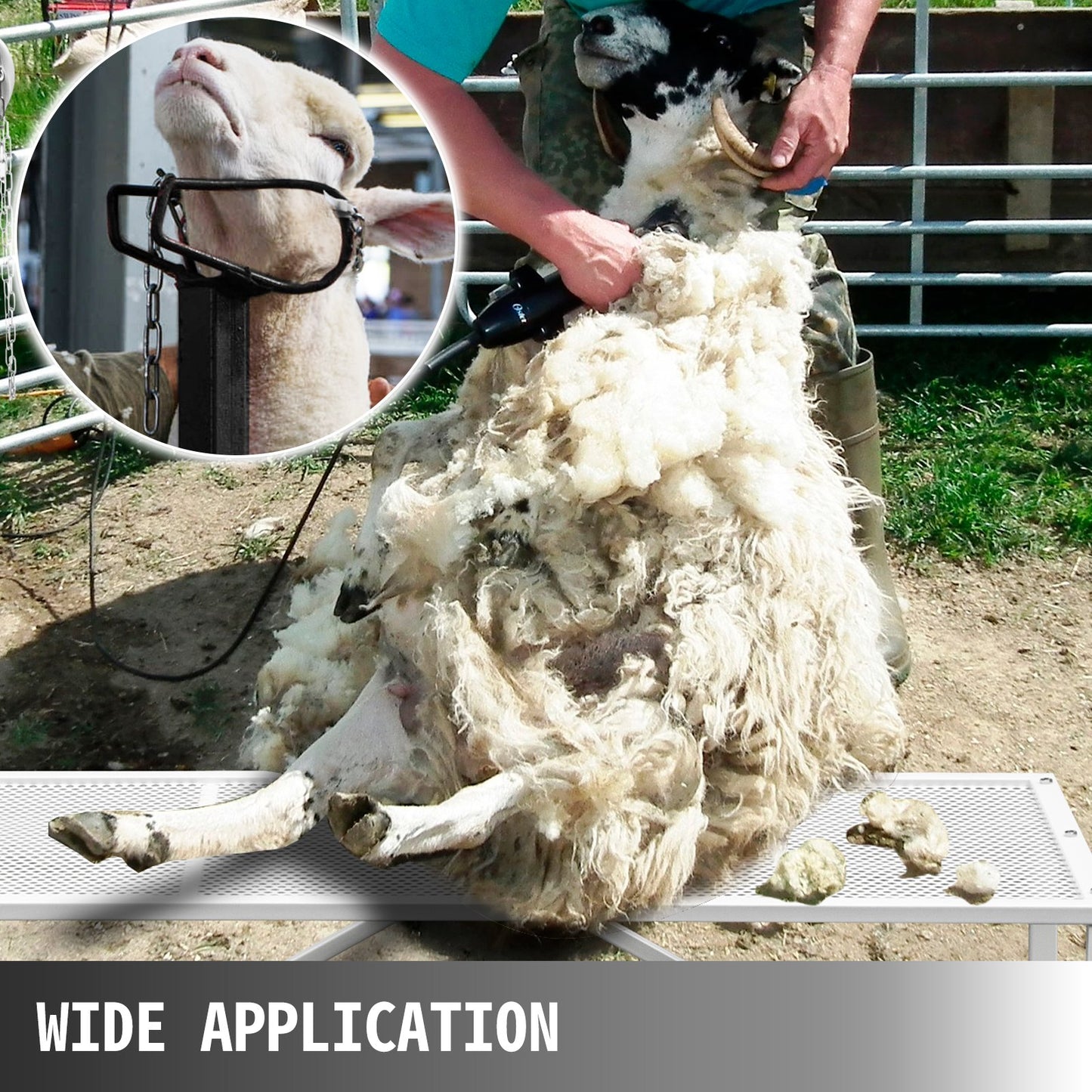 VEVOR Livestock Stand 51x23 inches, Trimming Stand with Straight Head Piece, Goat
