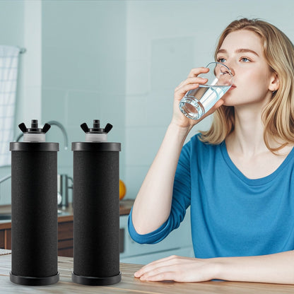 Water Filters Replacement, Purification Elements, Activated Carbon Replacement Filters, Easy to Replace Water Filter, Gravity Water Filter System, Compatible with Most Brands, Pack of 2, Black