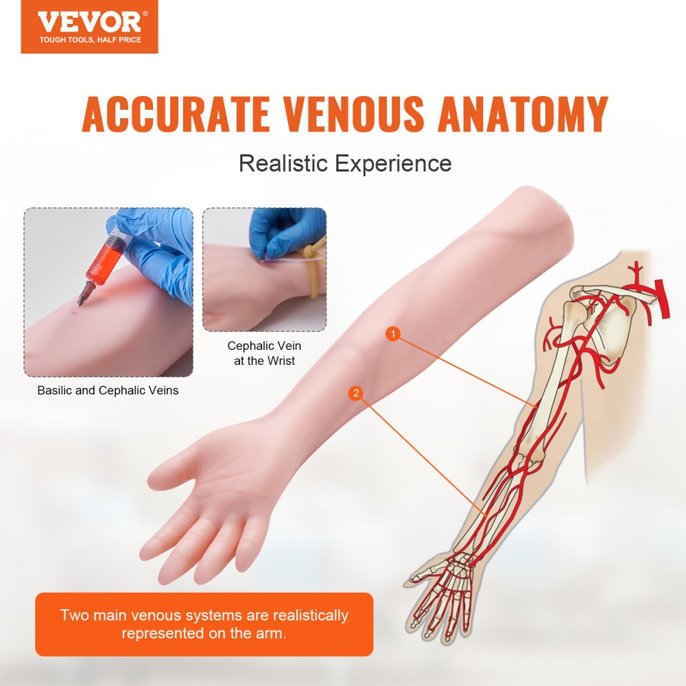 VEVOR IV Practice Kit Phlebotomy Venipuncture Practice Arm for Students Nurses