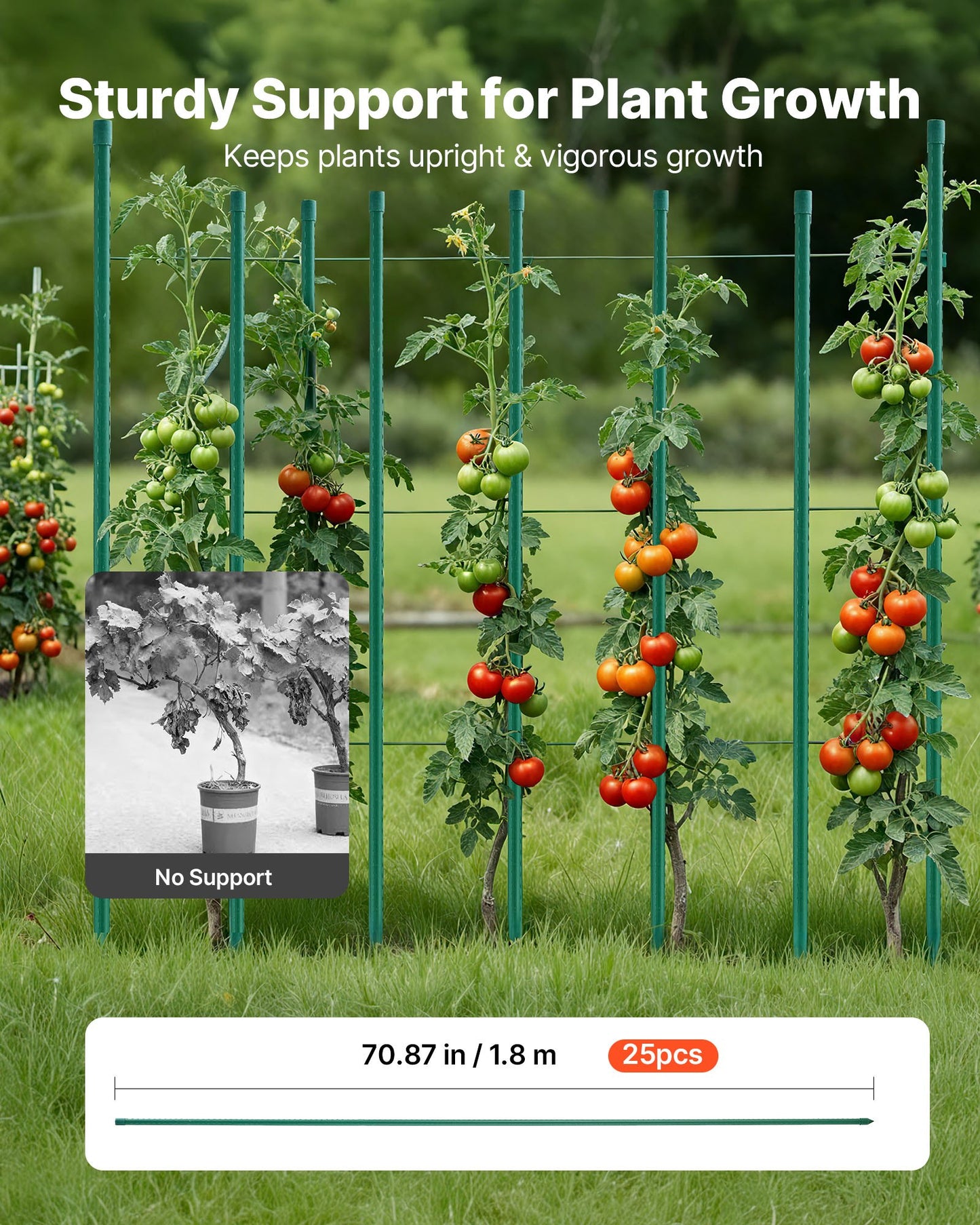 Garden Stakes, 25 Pack, 1800 mm, Plastic Coated Metal Tomato Stakes, Garden Sticks for Plants Support, with Pointed End and Non-Slip Bumps for Growing Climbing Plants, Outdoor Vegetables
