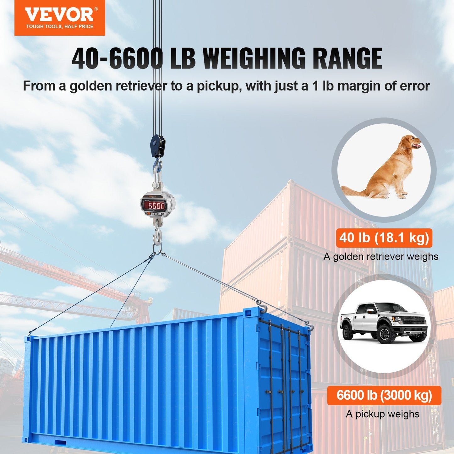 Heavy Duty 3000 kg Digital Crane Scale with Remote & LED Display, Silver