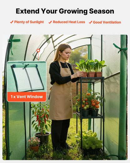 Walk-in Greenhouse, 198 x 100 x 200 cm Greenhouse for Outdoors with Window, PE Cover, 3-Tier Shelf, Roll-Up Zipper Doors, Walk in Green House Kit, Portable Plant Garden Hot House for Backyard