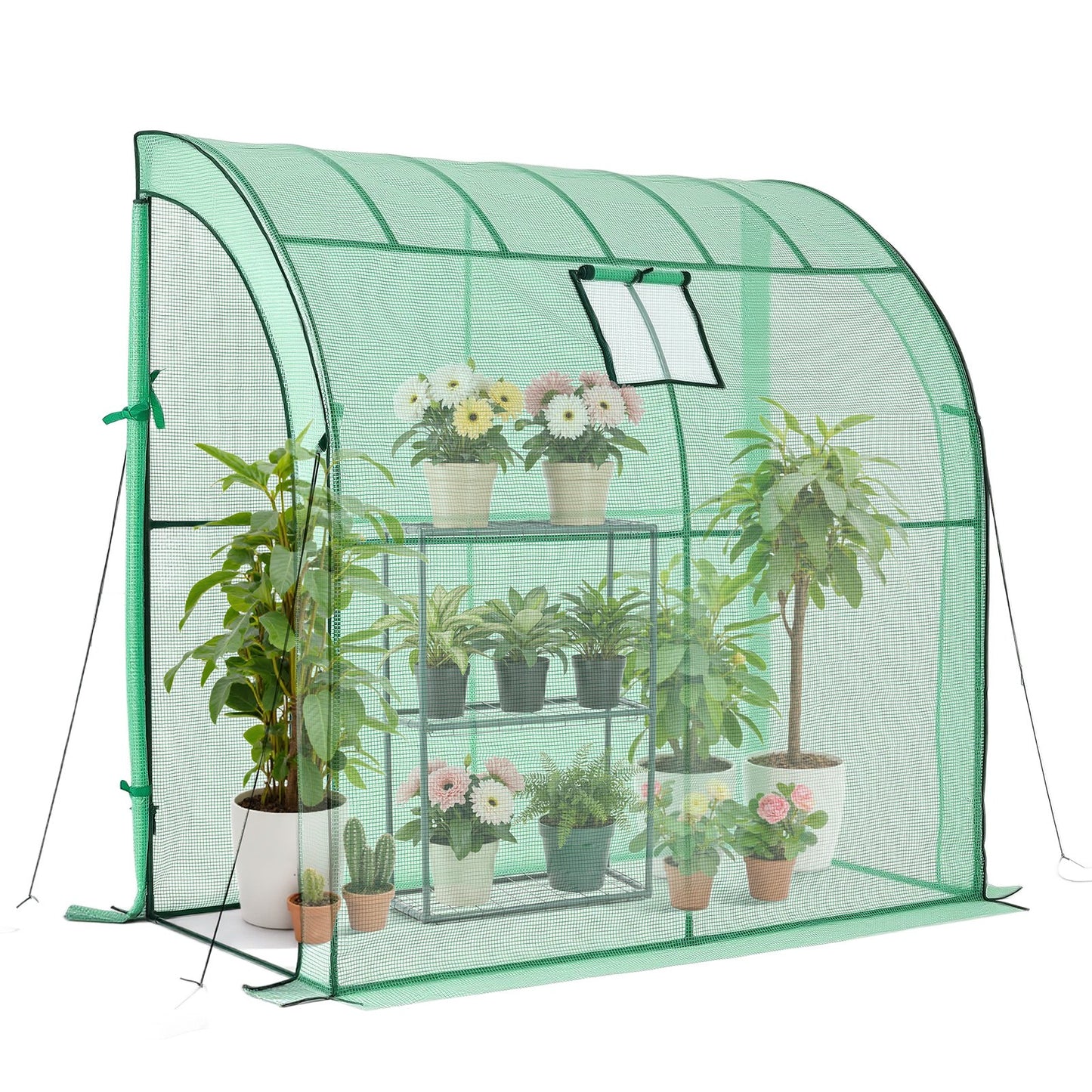 Walk-in Greenhouse, 198 x 100 x 200 cm Greenhouse for Outdoors with Window, PE Cover, 3-Tier Shelf, Roll-Up Zipper Doors, Walk in Green House Kit, Portable Plant Garden Hot House for Backyard