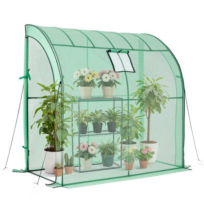 Walk-in Greenhouse, 198 x 100 x 200 cm Greenhouse for Outdoors with Window, PE Cover, 3-Tier Shelf, Roll-Up Zipper Doors, Walk in Green House Kit, Portable Plant Garden Hot House for Backyard
