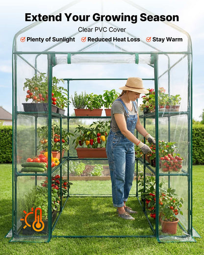 Walk-in Greenhouse, 137 x 137 x 196 cm Greenhouse for Outdoors with PVC Cover, 2 Tiers 10 Shelves, Roll-Up Zipper Door, Walk in Green House, Portable Plant Garden Hot House for Backyard Outside