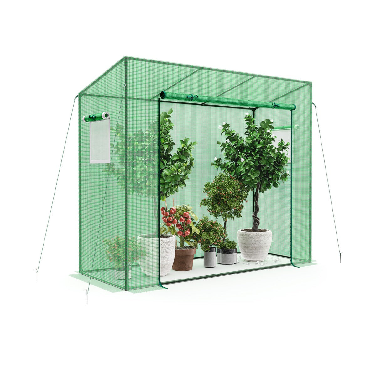 Walk-in Greenhouse with PE Cover and Double-Layer Screen Windows
