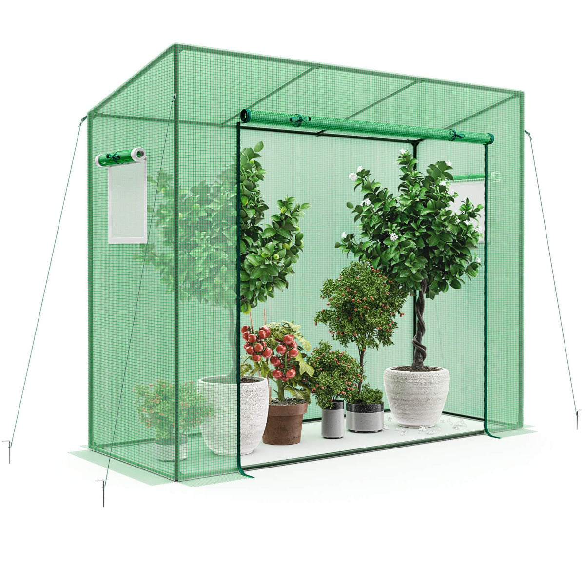 Walk-in Greenhouse with PE Cover and Double-Layer Screen Windows