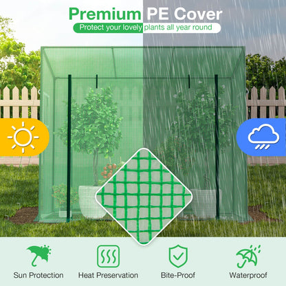 Walk-in Greenhouse with PE Cover and Double-Layer Screen Windows