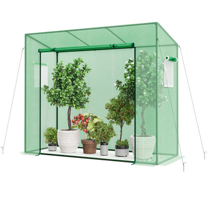 Walk-in Greenhouse with PE Cover and Double-Layer Screen Windows
