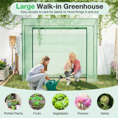 Walk-in Greenhouse with PE Cover and Double-Layer Screen Windows