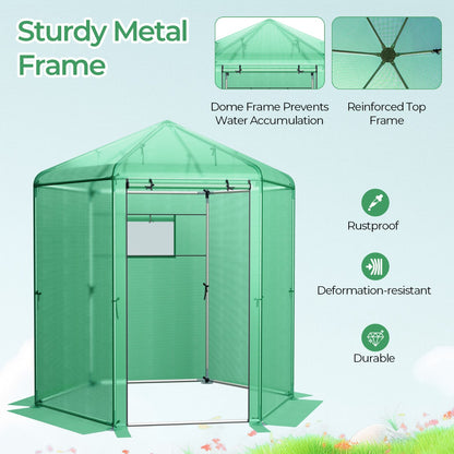Costway Walk-In Greenhouse with 2-Layered Window and Roll-Up Door
