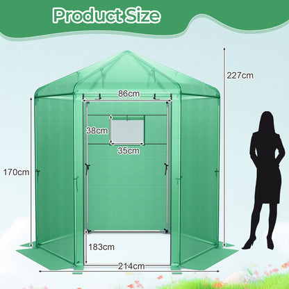 Costway Walk-In Greenhouse with 2-Layered Window and Roll-Up Door
